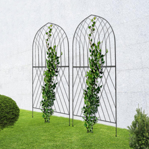 Arlmont And Co Bernardin 75 H X 31 W Steel Arched Trellis And Reviews Wayfair